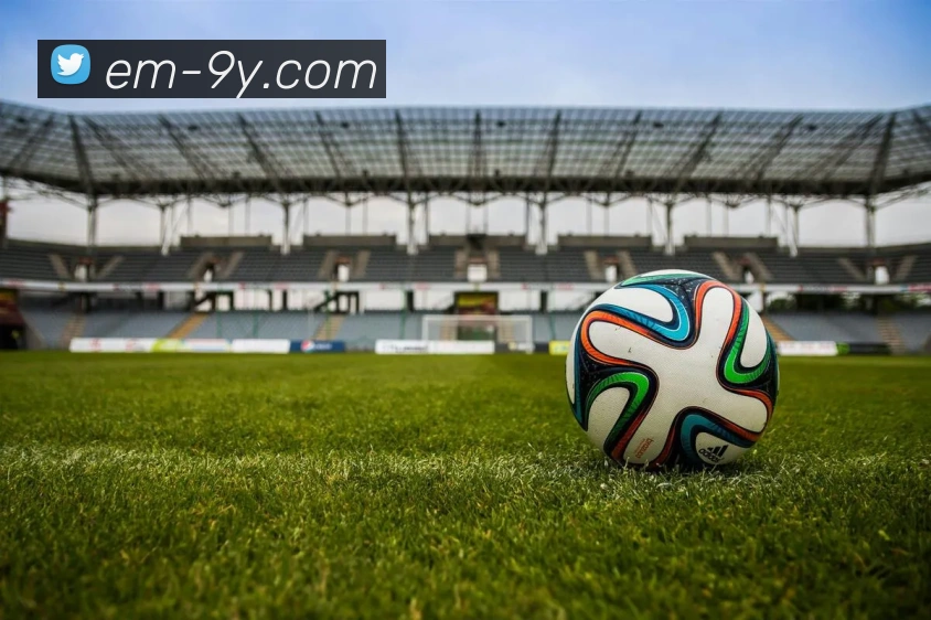 九游官网平台生态图