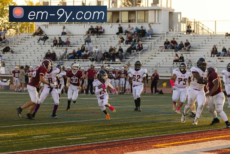 九游官网APP 封面图